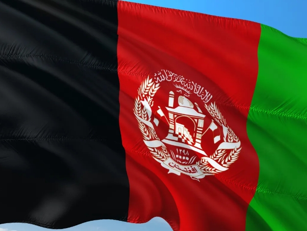 阿富汗海关数据查询平台（附免费试用查询）