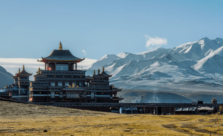 蒙古国海关数据查询平台（附免费试用查询平台）